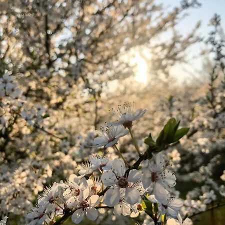 Updated 70s In Rosnaes Nature Kalundborg